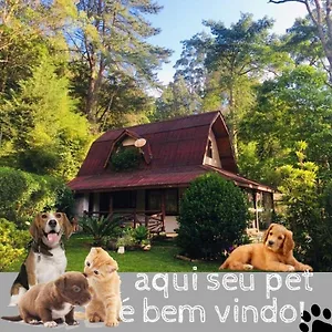 Casa Na Floresta Em , Campos do Jordão Brasil